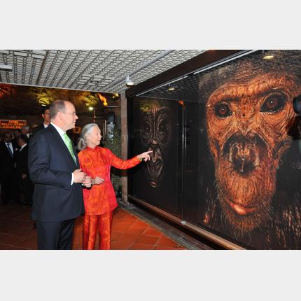 Inauguration de l'exposition de Jane Goodall par S.A.S. le Prince Albert II